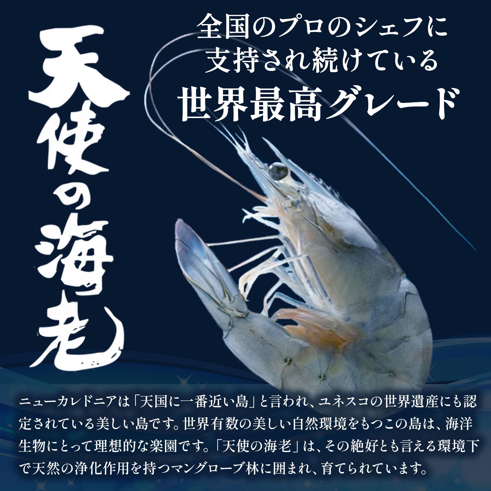Amazon.co.jp: 天使の海老 20/30 生食用 【解凍方法・食べ方ガイド付き